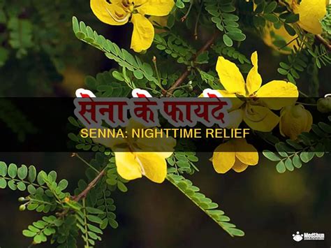 Why Take Senna at Night for Better Digestive Health