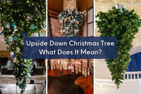 Why Upside Down Tree