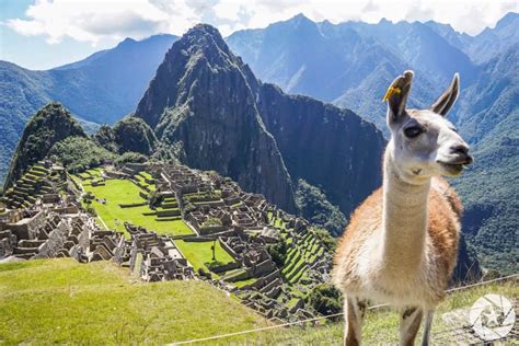 Reasons to visit Machu Picchu