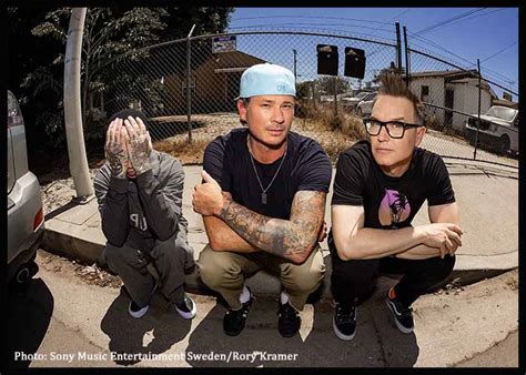 why was blink 182 cancelled in kansas city