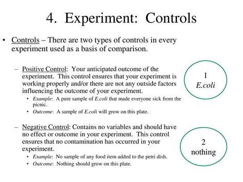 Why Was Water Used As A Negative Control In The Experiments In This Lab