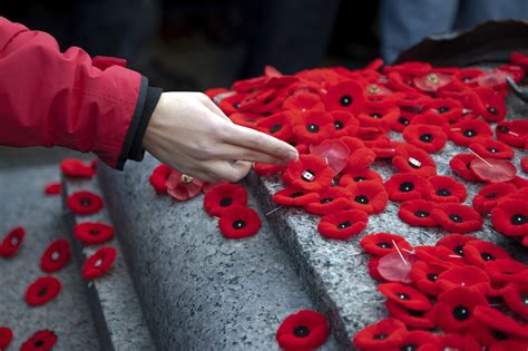 why we wear poppies on remembrance day