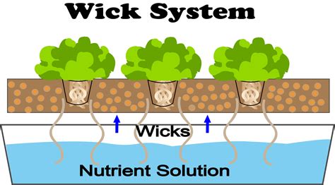 wick system hydroponics