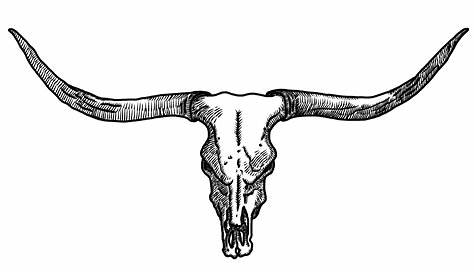 Texas Longhorns Png - Longhorn Bull Skull Tattoo - 2048x1536 Wallpaper