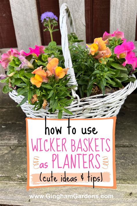 Wicker Baskets For Trees