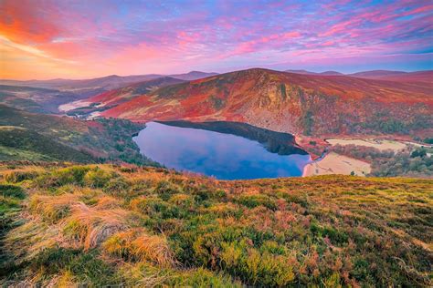 Review: Dublin Wicklow Glendalough & Sheepdog Demo