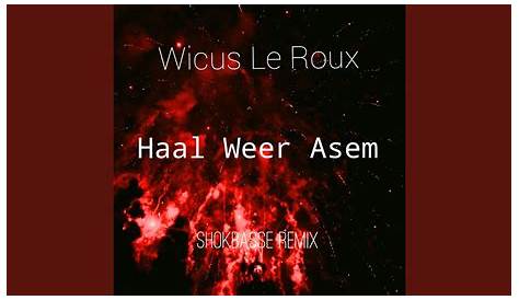 Wicus Le Roux Haal Weer Asem (ShokBasse Remix) YouTube