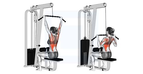 Wide Cable Lat Pulldown