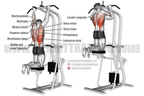 So what’s so good about weight training? Fit Freedom