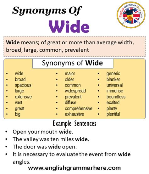 widely meaning in english synonyms