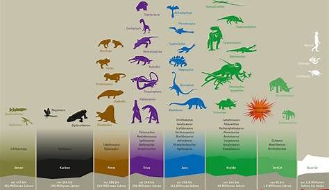 Dinosaurier die Giganten der Urzeit