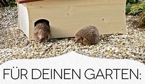 Igelhaus - Das Winterquartier für den kleinen Gartenbewohner - YouTube