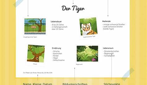 15 Punkte im Referat! (richtig halten) - Einstieg + Aufbau spannend