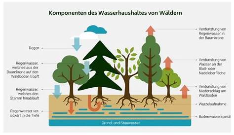 Versorgung und Verwendung – Wasserwerk Zweckverband Seebachgebiet