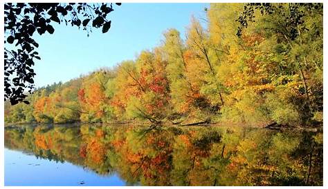 Der Herbst und seine schönen Seiten: Bunte Blätter und warmer Kako