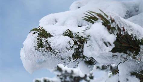 Schnee im Winter 2021/2022: Wie weiß wird die Adventszeit in