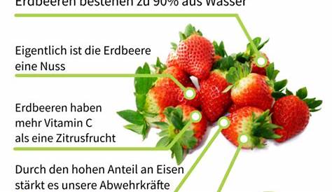 Erdbeeren: Frisches Früchtchen | ZEIT ONLINE