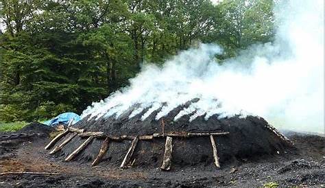 Holzkohle 10kg