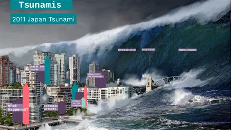 wie entstand der tsunami 2011 in japan
