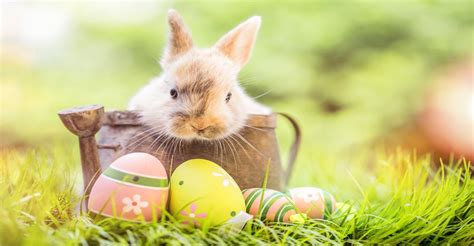 wie feiert man ostern in rumänien