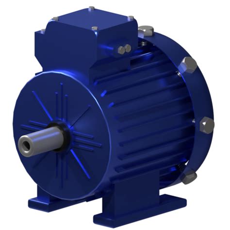 Wiki Electric Motor