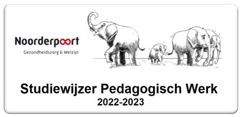 wiki pedagogisch werk 2020