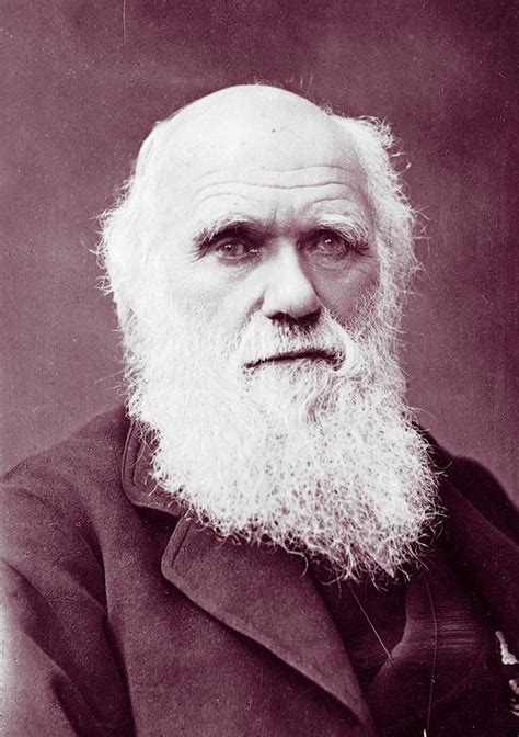 wikipedia charles darwin