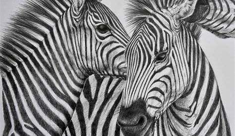 Wild Animals Pencil Drawing Images 40 Realistic Animal s