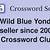 wild blue yonder crossword clue