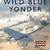 wild blue yonder military group