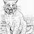 wild cat coloring pages