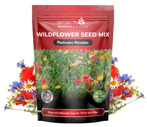 Wild Flower Seed Bulk: Enhance Your Garden With Colorful Blooms