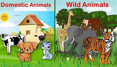 Unleash The Secrets: Wild Vs Domestic Animals Decoded For Kids!