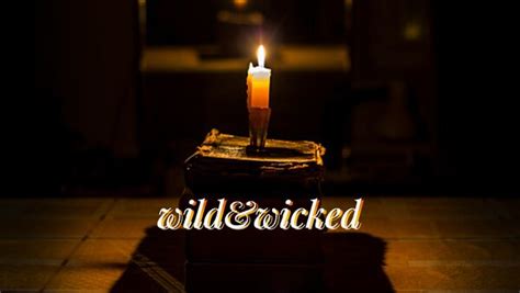 wild and wicked 2