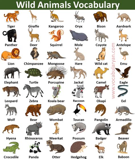 Wild Animals List of 140+ Wild Animals Names in English ESL Forums