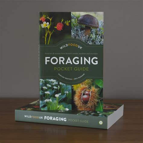 wild food uk foraging guide