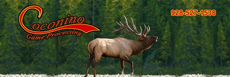 Wild Game Processing Flagstaff
