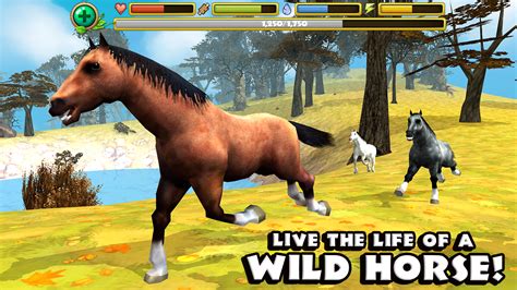 wild horse simulator game free