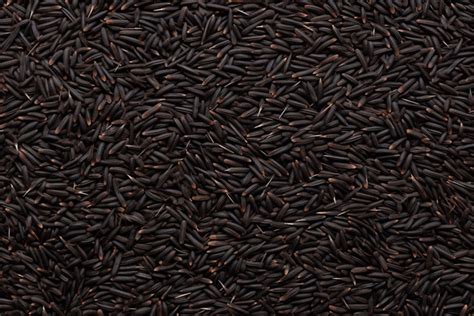 Wild Rice Background Information