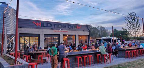 Wild Ride Brewery - Free Template Download