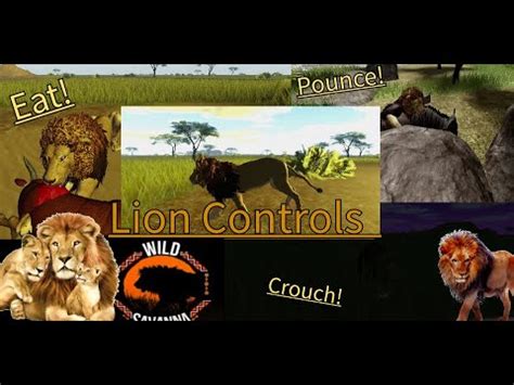 wild savannah roblox controls