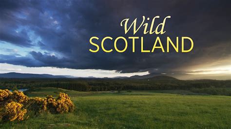 wild scotland tv series