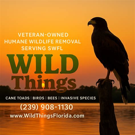 Wild Things Animal Control