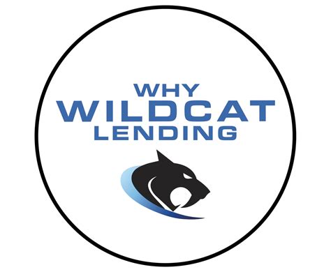wildcat lending