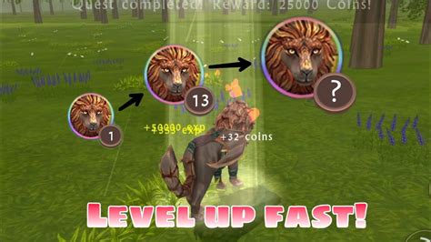 Wildcraft Instructions