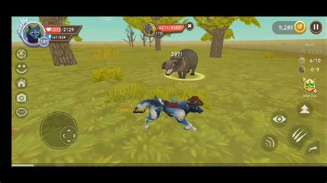 Wildcraft Quest Code