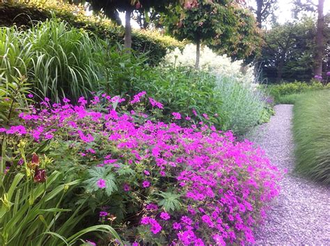 Wilde Vaste Planten Border