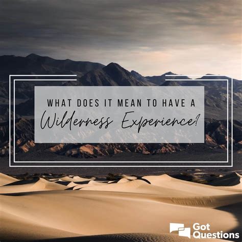 Wilderness Experience Meaning
