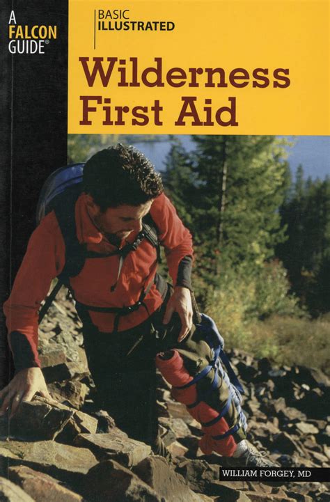 Wilderness First Aid Levels