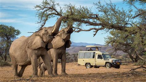 wilderness safaris namibia